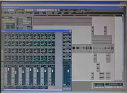 Goldfish im 12erturm